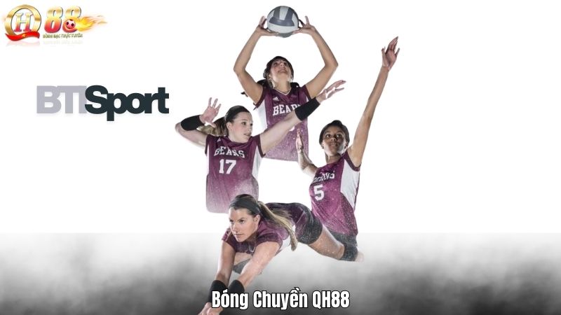 BTI Sports QH88 – Sảnh Thể Thao Đỉnh Cao Cho Bet Thủ 2025 Bóng Chuyền QH88