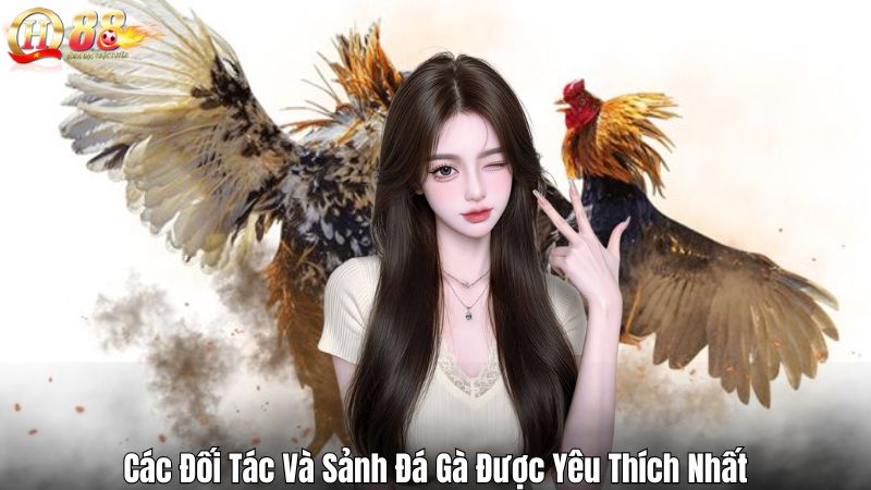 Đá Gà QH88 – Sân Chơi Đỉnh Cao, Kịch Tính Từng Trận Đấu Các Đối Tác Và Sảnh Đá Gà Được Yêu Thích Nhất