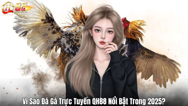 Đá Gà QH88 – Sân Chơi Đỉnh Cao, Kịch Tính Từng Trận Đấu Vì Sao Đá Gà Trực Tuyến QH88 Nổi Bật Trong 2025?